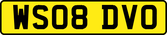 WS08DVO