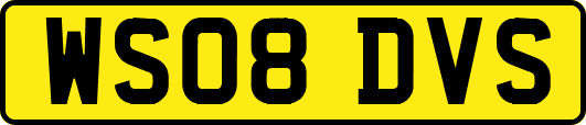 WS08DVS
