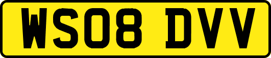 WS08DVV
