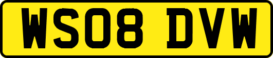 WS08DVW