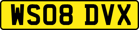 WS08DVX