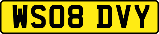 WS08DVY