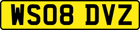 WS08DVZ