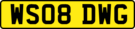 WS08DWG