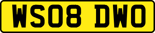 WS08DWO