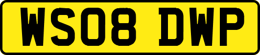 WS08DWP