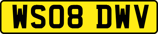 WS08DWV