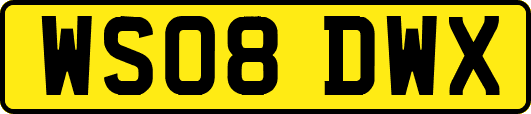 WS08DWX