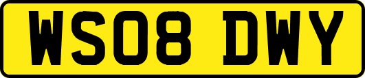 WS08DWY