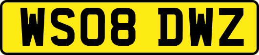 WS08DWZ