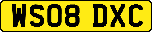 WS08DXC