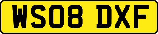 WS08DXF