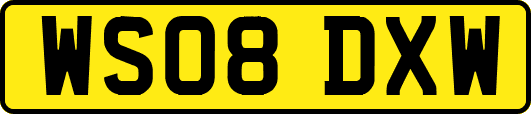 WS08DXW