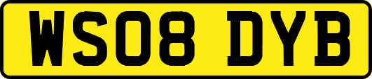 WS08DYB