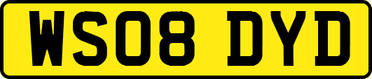 WS08DYD