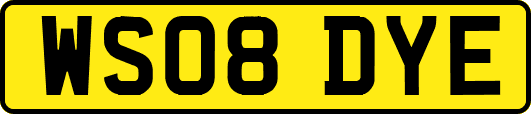 WS08DYE