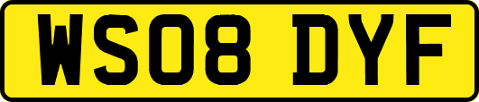 WS08DYF