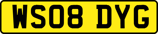 WS08DYG