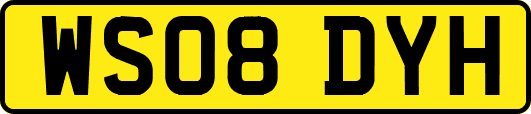 WS08DYH
