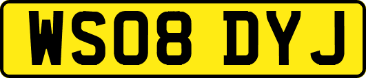 WS08DYJ