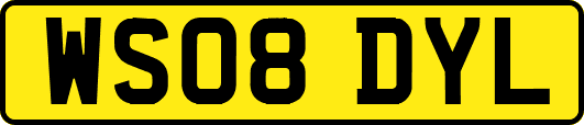 WS08DYL