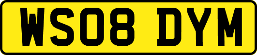 WS08DYM