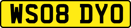 WS08DYO