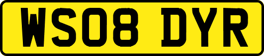 WS08DYR