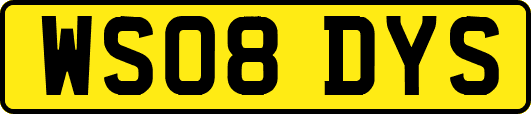 WS08DYS