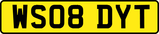 WS08DYT