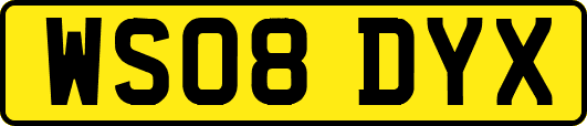 WS08DYX