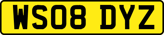 WS08DYZ