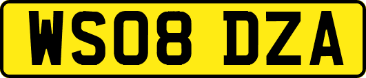 WS08DZA