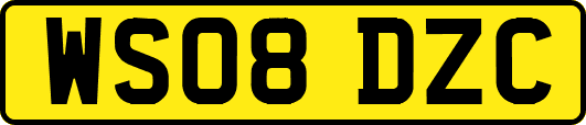 WS08DZC