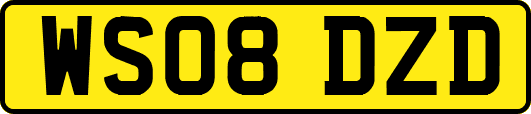 WS08DZD