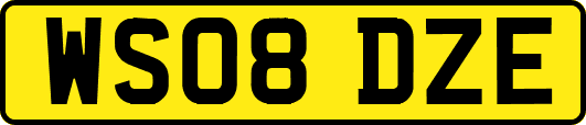 WS08DZE