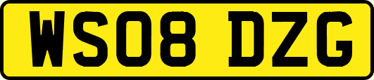 WS08DZG
