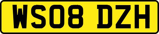WS08DZH