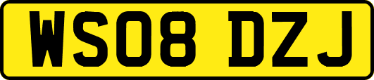 WS08DZJ