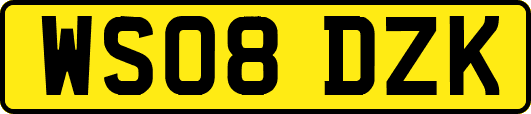 WS08DZK