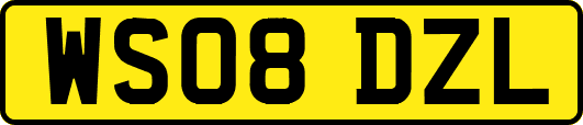 WS08DZL