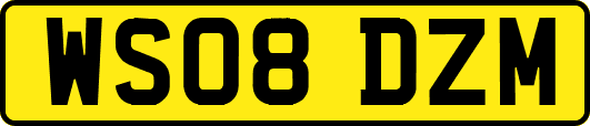 WS08DZM