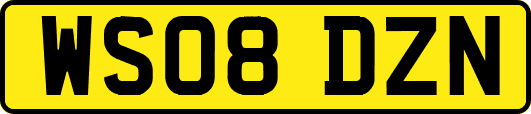 WS08DZN