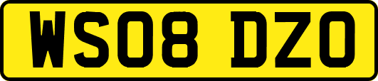 WS08DZO