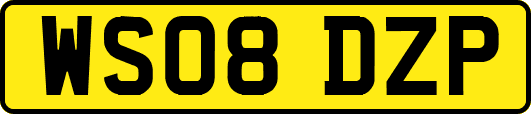 WS08DZP