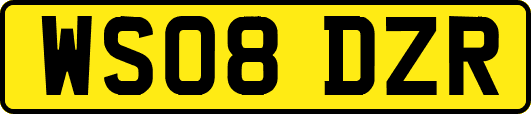 WS08DZR