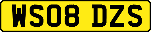WS08DZS