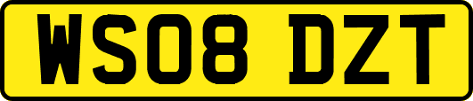 WS08DZT
