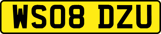 WS08DZU