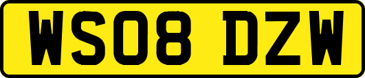 WS08DZW